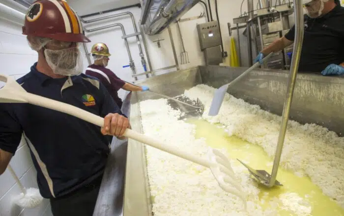 Rovey Dairy cheese making