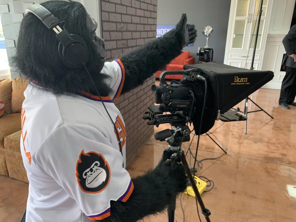 Gorilla Videographer