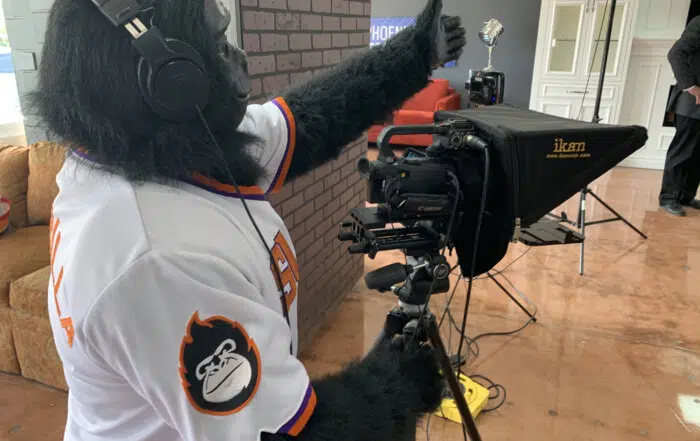 Gorilla Videographer